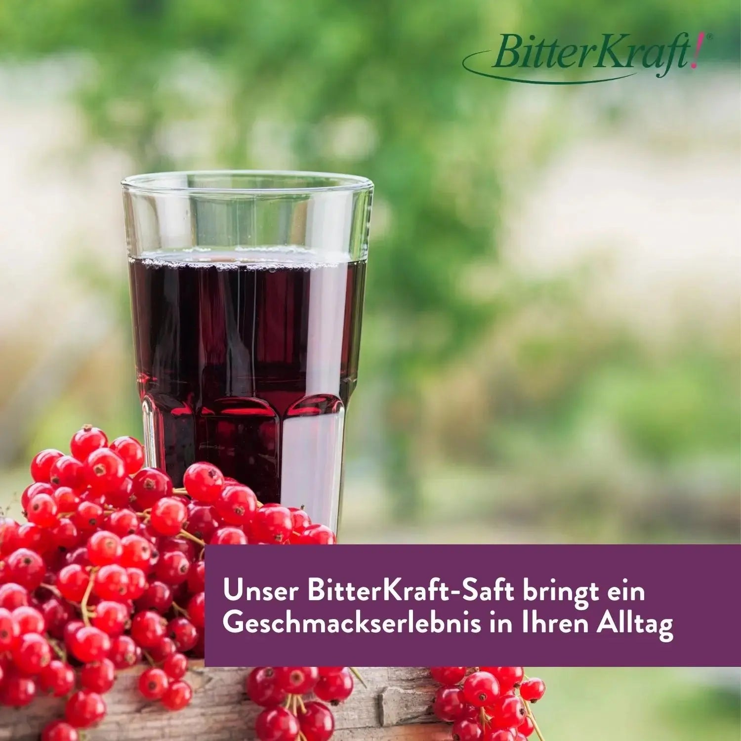 Aronia-Saft (BIO) 350ml Bitterkraft GmbH - Bitterkraft