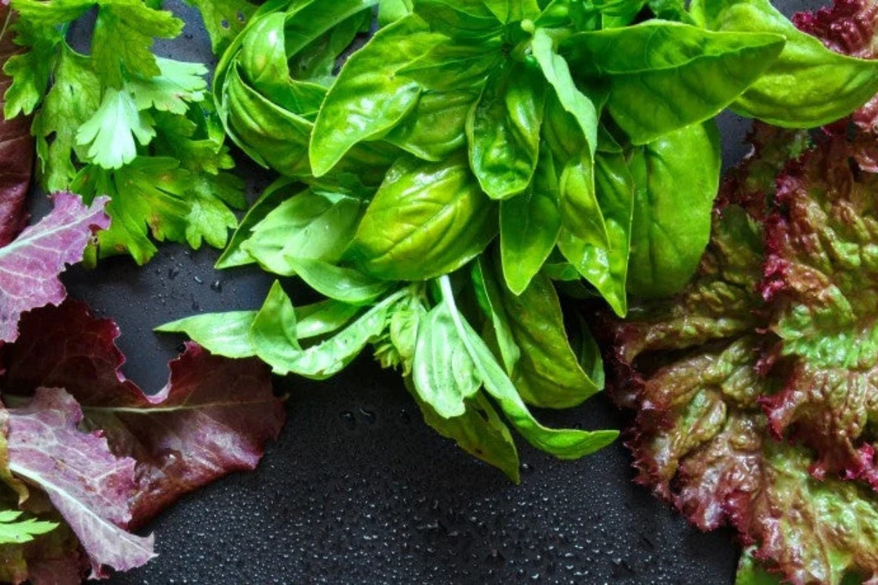 Sostanze amare negli alimenti