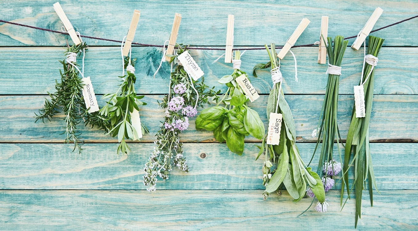 Le erbe aromatiche più importanti in inglese
