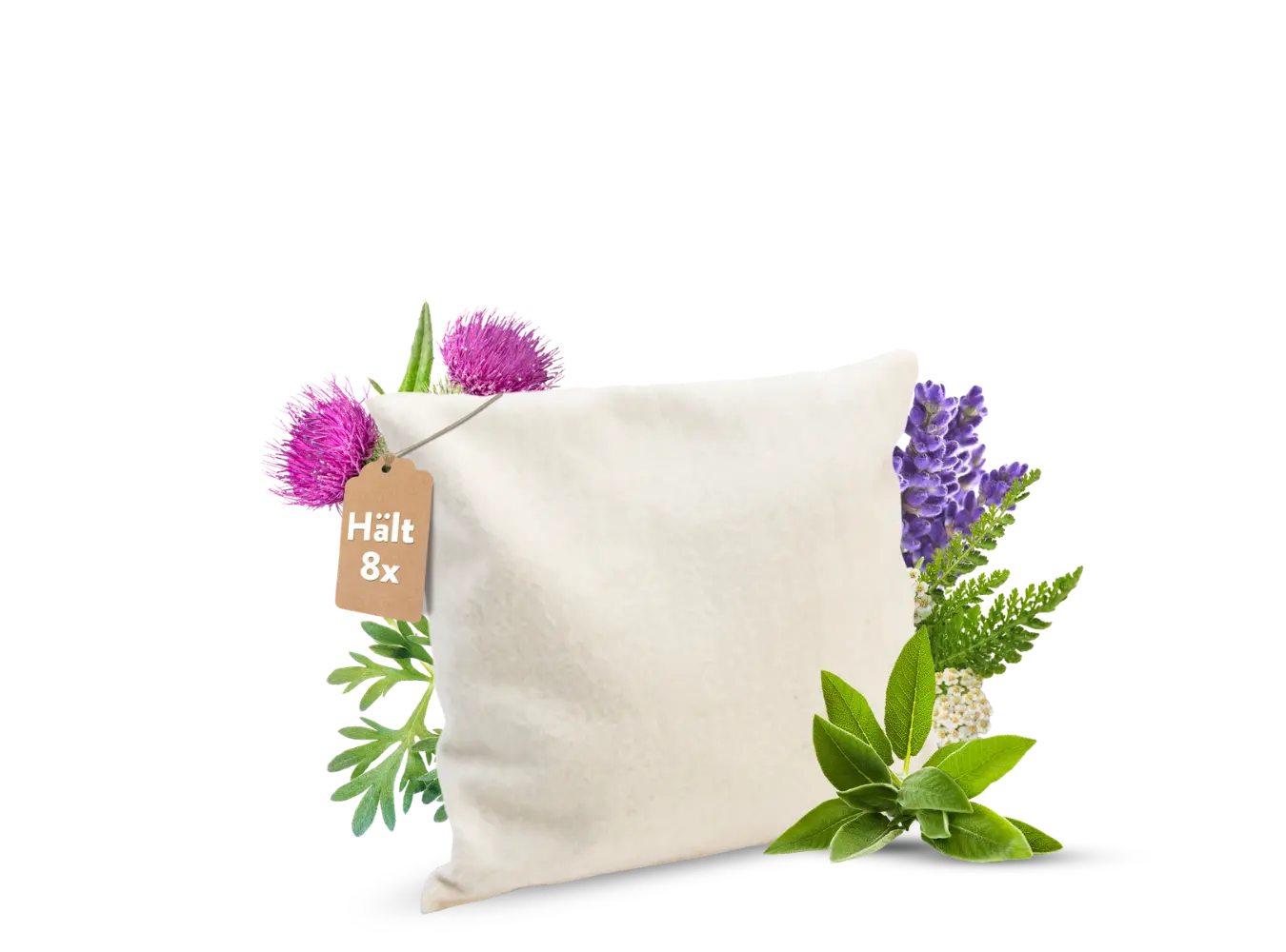 Abnehm-Fasten-Paket