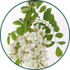 Fibra di acacia