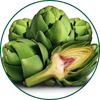 Carciofo