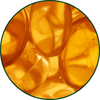 Biotina e vitamina B5