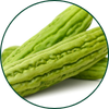 Melone amara