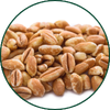 Farro