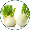 Finocchio