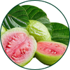 Guava